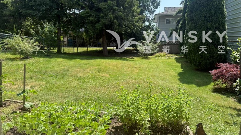 250615135214_back yard.jpg